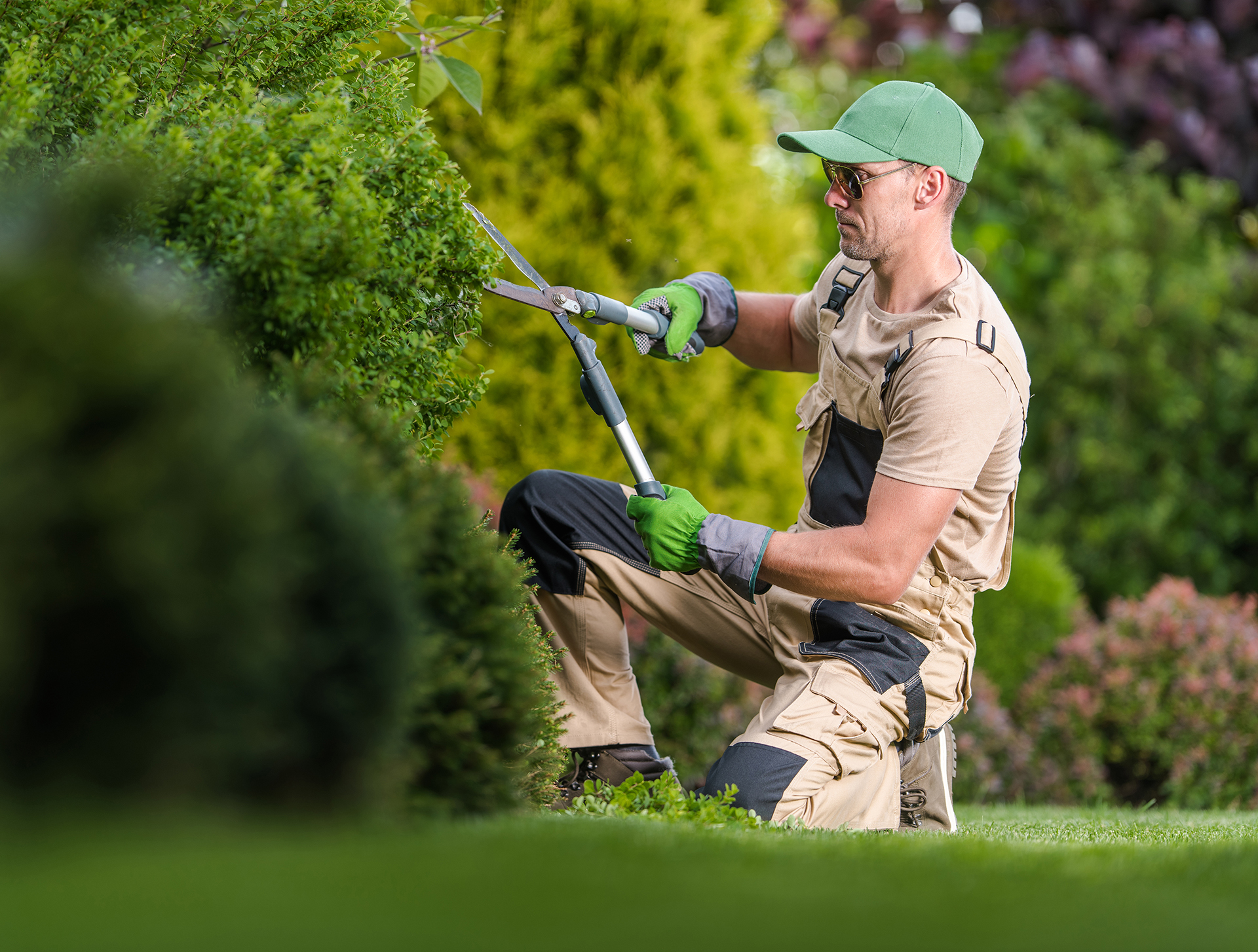 Side View Closeup of Caucasian Gardener Kneeling on One Knee While Trimming Plants. Professional Garden Maintenance Theme.