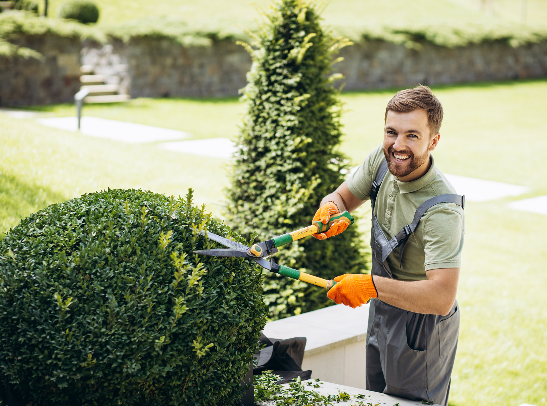 Garden worker trimming trees with scissors in the yard